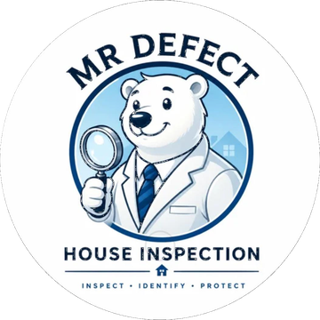 MR DEFECT